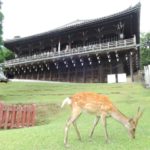 奈良県の世界遺産ランキング！一度は行っておきたい寺社５選