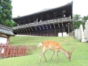 奈良県の世界遺産ランキング！一度は行っておきたい寺社５選