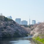 千鳥ヶ淵の桜のおすすめルート・屋台・見どころポイントを解説します!