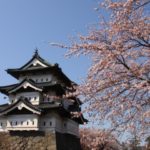 弘前公園の桜祭り!とっておきの駐車場穴場情報と混雑・渋滞回避のコツ