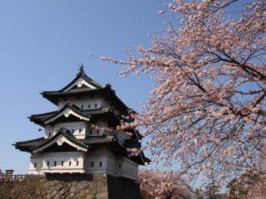 弘前公園の桜祭り!とっておきの駐車場穴場情報と混雑・渋滞回避のコツ
