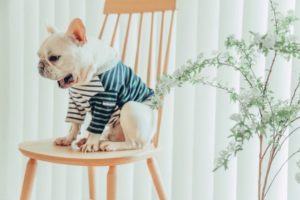 休日は外出しない！充実した引きこもり休日の過ごし方のススメ