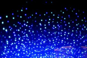 なばなの里のイルミネーションは初夏直前が快適でオススメです！