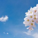 東京都内の桜の名所ランキング5選!夫婦・カップルのデートにおすすめ2021