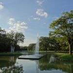 代々木公園の桜の場所取り・屋台売店・駐車場等の役立つお花見情報まとめ