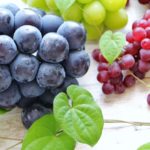 ぶどうのカビは食べられる?綿や蜘蛛の巣みたいなものは白カビの一種?