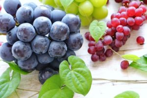 ぶどうのカビは食べられる？綿や蜘蛛の巣みたいなものは白カビの一種？