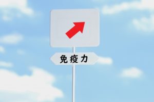 免疫力を上げる食べ物は舞茸・もずく・ヨーグルト!効果的な調理方法も