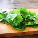 大葉は変色しても食べられる?変色予防には瓶保存か冷凍保存がおすすめ