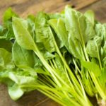 ほうれん草とサラダほうれん草の違いは生食できるかと栄養価の差?