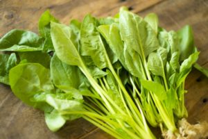 ほうれん草とサラダほうれん草の違いは生食できるかと栄養価の差？