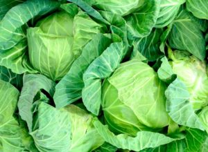 キャベツの黒いつぶつぶの斑点はカビ?新鮮なものを選ぶ方法と保存方法