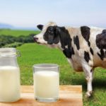 牛乳は冷蔵庫保存で開封後何日まで大丈夫?賞味期限切れの使い道も紹介