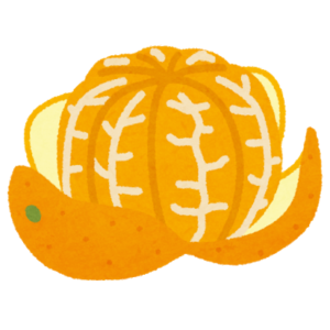 みかんの皮の白い粉はカビ？食べられる？見分け方と正しい保存方法を紹介